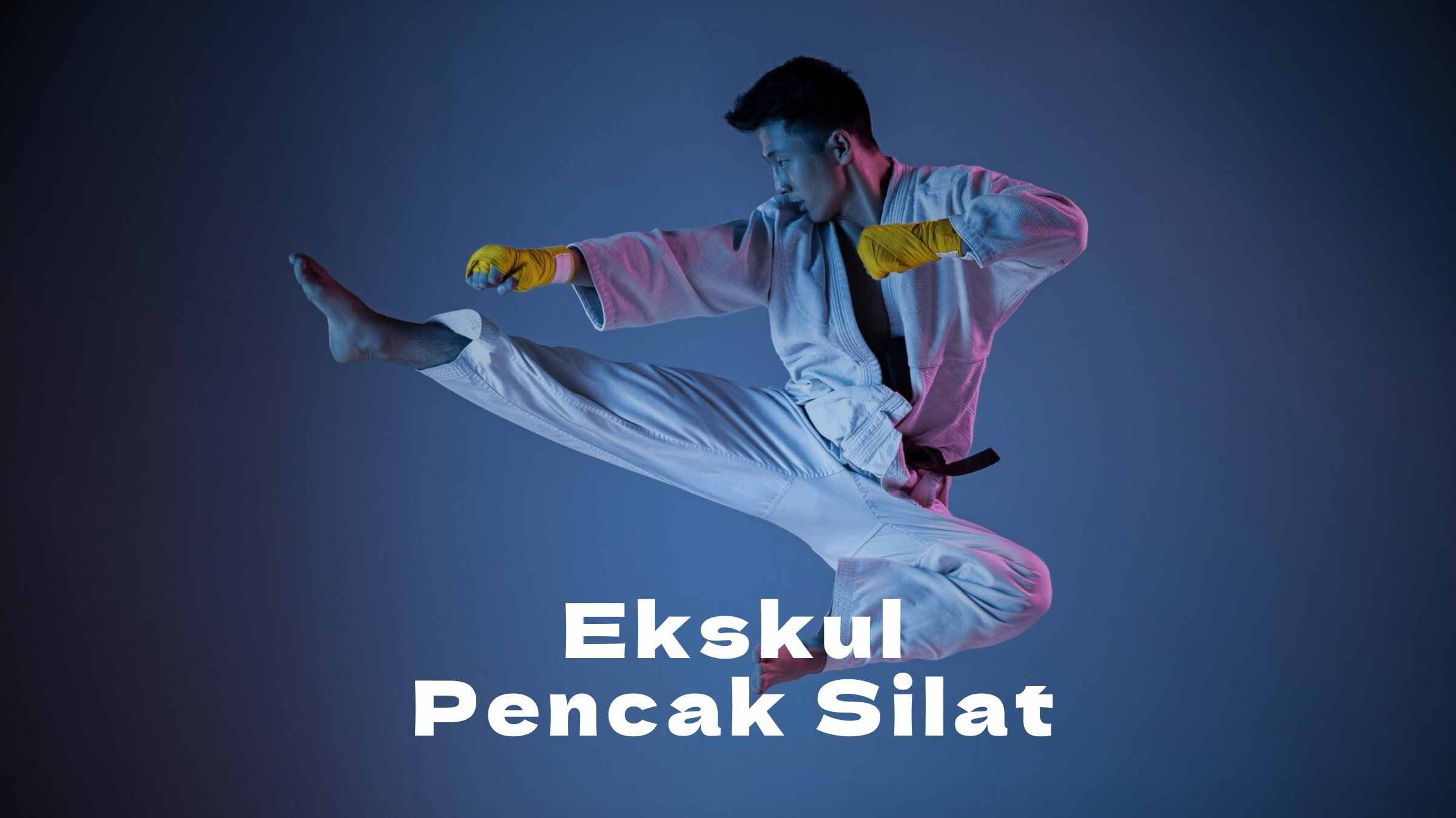 Ekskul Pencak Silat
